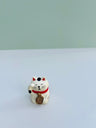 ZAKKA GATO decole