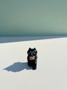 ZAKKA GATO decole